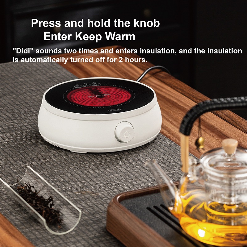 110 V/220 V Stufa Elettrica In - Coffee Tea Water Heater recensione e prezzo