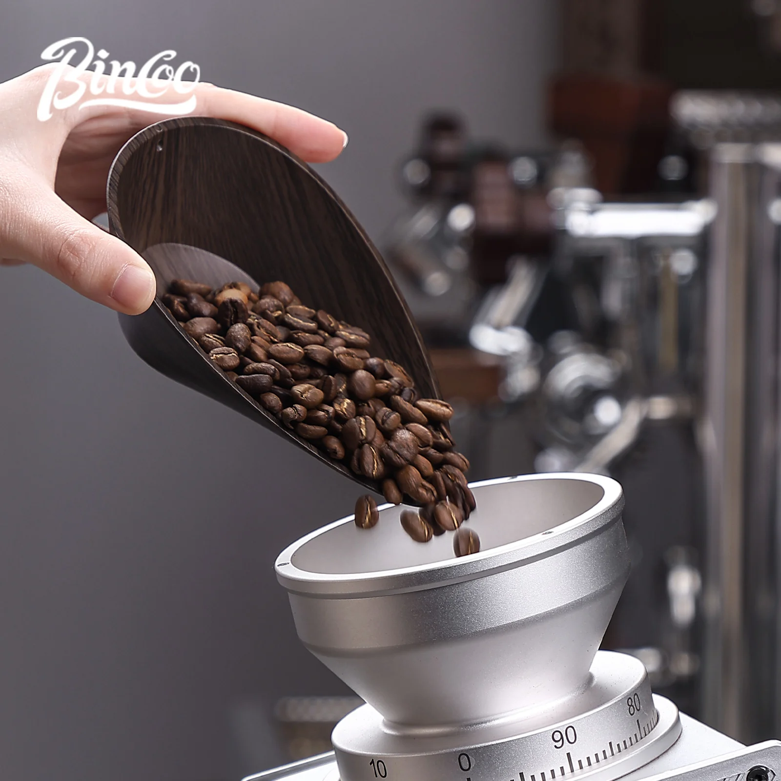 BINCOO Caffè Chicchi Dose Vass - Coffee Tea And Bean recensione e prezzo
