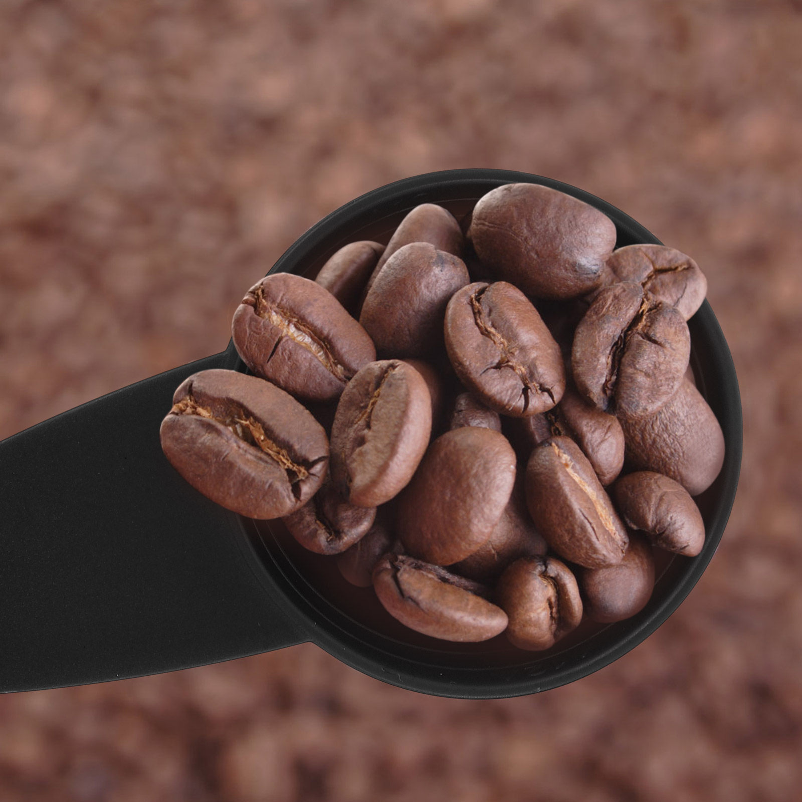Set di 5 Cucchiai Dosatori con - Coffee Tea And Bean recensione e prezzo