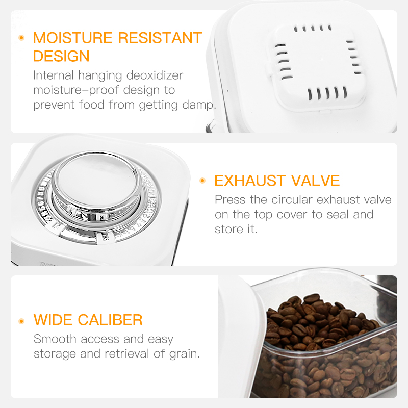 AliKisscafe Contenitore per la - Coffee Tea And Bean recensione e prezzo