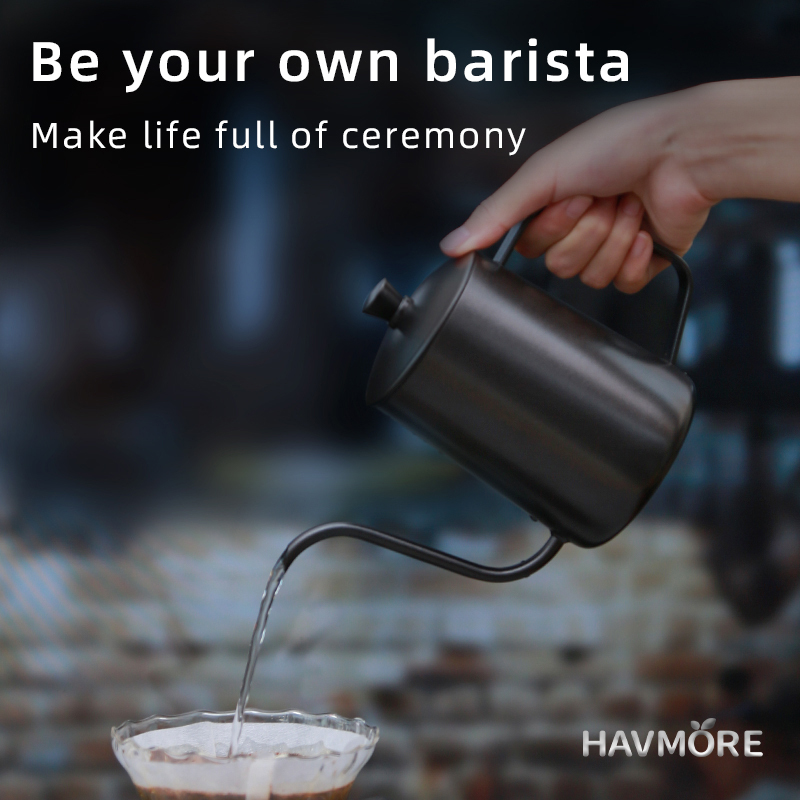 HAVMORE Bollitore per tè in ac - Coffee Tea Brew recensione e prezzo