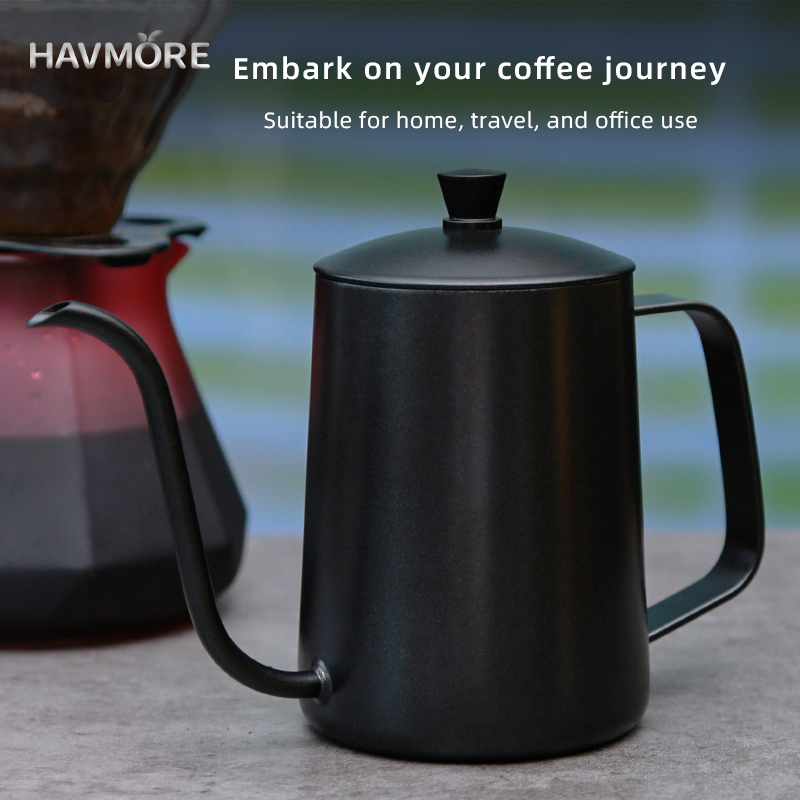 HAVMORE Bollitore per tè in ac - Coffee Tea Brew recensione e prezzo